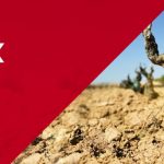 Feria Virtual "Wines in Motion"