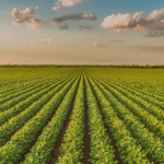 Feria SPACE (Rennes)