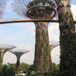 TastyWines Meetings Asia: Singapur