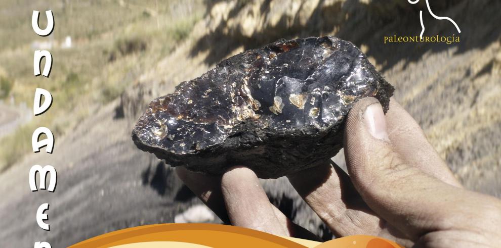 La Fundación Dinópolis divulga el resultado de las investigaciones ganadoras del Premio Paleonturología entre los institutos de Educación Secundaria La Fundación Dinópolis divulga el resultado de las investigaciones ganadoras del Premio Paleonturología entre los institutos de Educación Secundaria