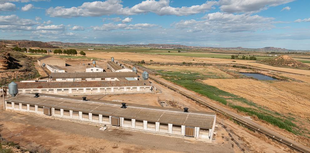 Aragón pide al Ministerio intensificar las negociaciones internacionales para proteger las exportaciones de porcino Aragón pide al Ministerio intensificar las negociaciones internacionales para proteger las exportaciones de porcino