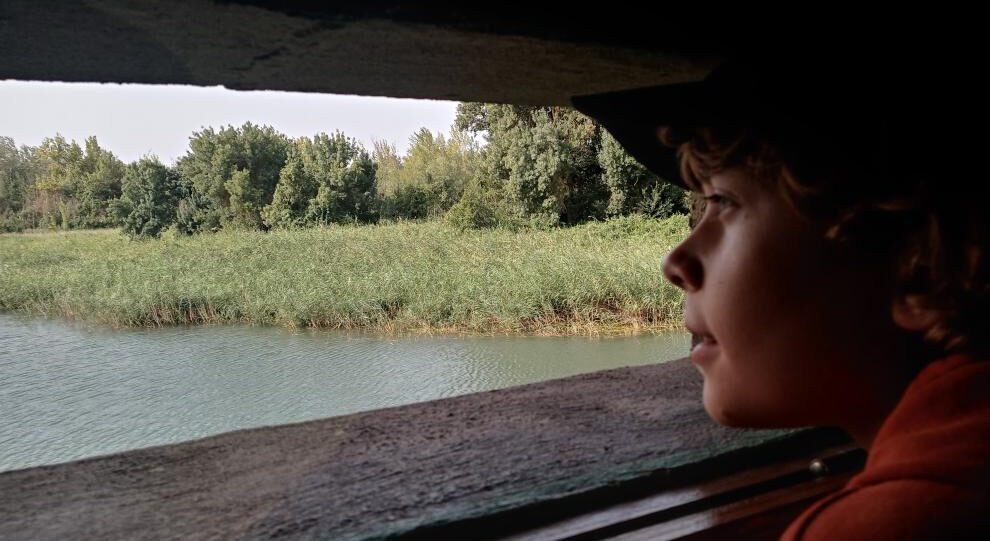 Talleres, visitas guiadas y mucha naturaleza, las propuestas de La Alfranca para esta primavera Talleres, visitas guiadas y mucha naturaleza, las propuestas de La Alfranca para esta primavera