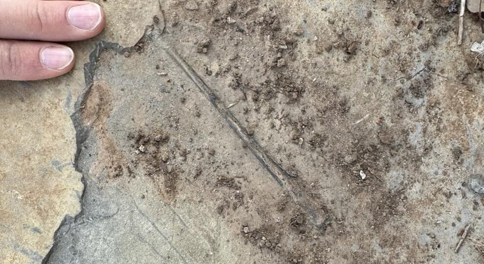 La Fundación Dinópolis sigue descubriendo huesos de reptil volador en el Jurásico de El Castellar (Teruel) La Fundación Dinópolis sigue descubriendo huesos de reptil volador en el Jurásico de El Castellar (Teruel)