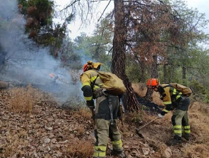 El Ayuntamiento de Alpartir agradece la labor del operativo en la extinción del incendio de la Sierra de Algairén El Ayuntamiento de Alpartir agradece la labor del operativo en la extinción del incendio de la Sierra de Algairén