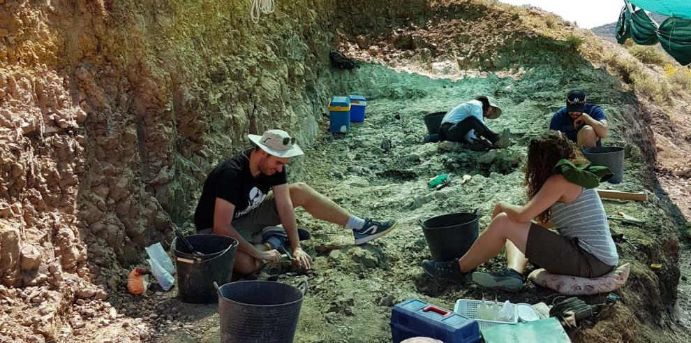Paleontólogos buscan fósiles de félidos “dientes de sable” en Teruel