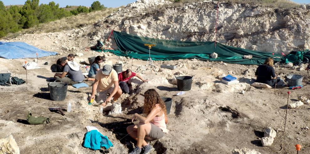 Fósiles de jirafas, hienas, caballos, gacelas y antílopes afloran en la actual campaña de excavación del yacimiento La Gloria 4 (Teruel)