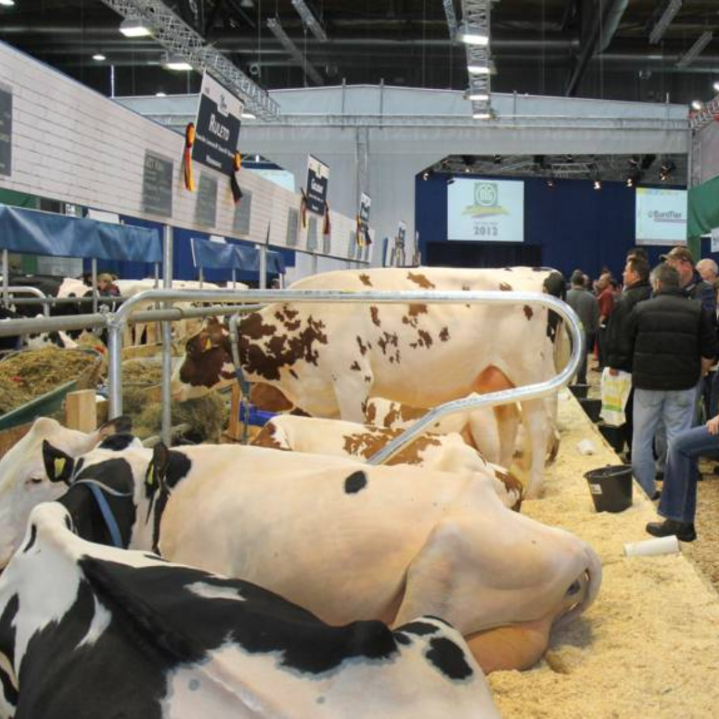 EuroTier 2024